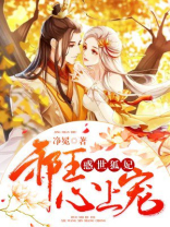 惑世狐妃:邪王心上宠小说