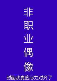 非职业偶像[娱乐圈]晋江