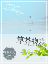 草芥评价