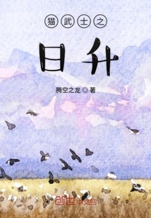 猫武士全套顺序