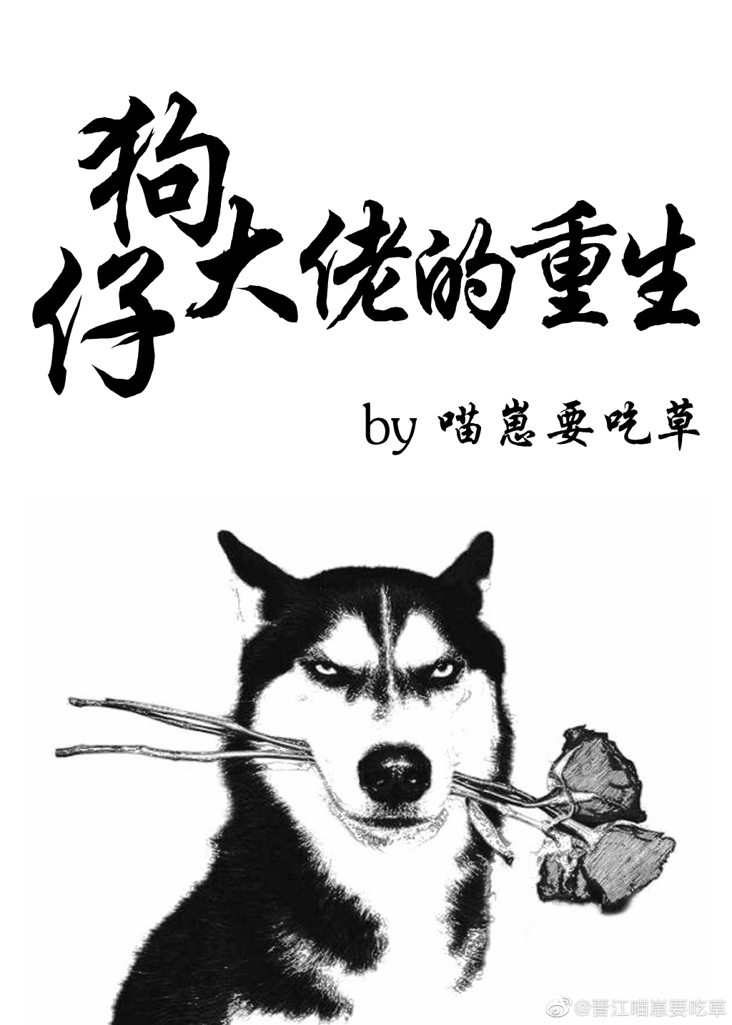 狗仔大佬的重生全文免费阅读