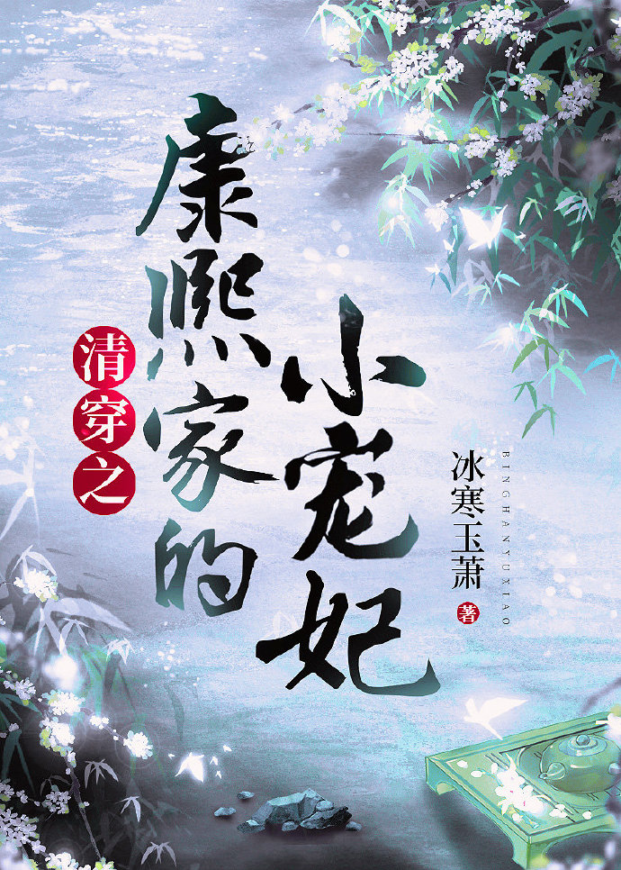 清穿之康熙家的小宠妃百度云网盘