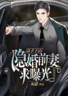 高手隐都市