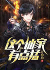 这个仙人有点强