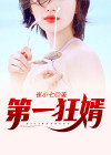 第一狂婿