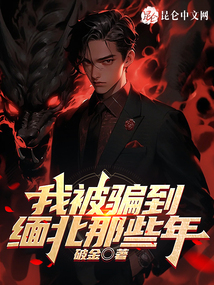 我被骗到缅北的那些年TXT下载