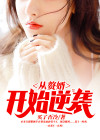 从赘婿开始逆袭 小说
