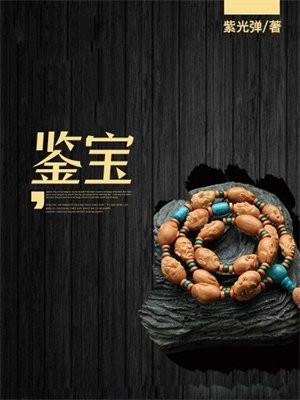 鉴宝王全文免费阅读