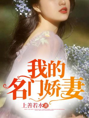 我的名门娇妻第343集免费阅读