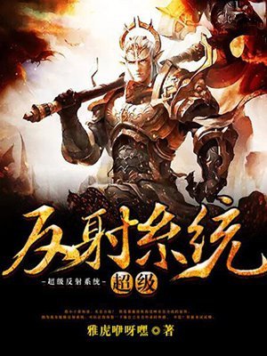 RC反射系统