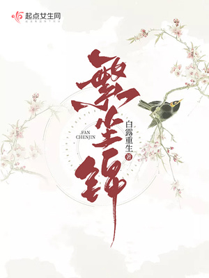繁尘锦讲的什么