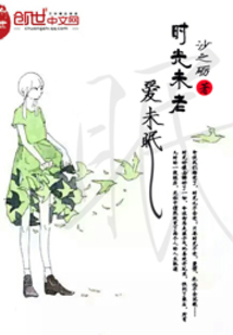 时光未老爱未眠 小说