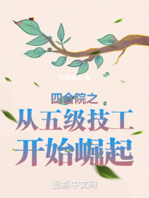 四合院之从五级技工开始崛起笔趣阁