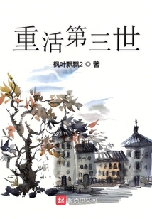 第三重生txt