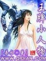 王牌小偷