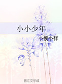 小小少年原唱完整版