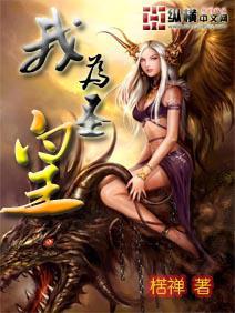 我为圣皇 