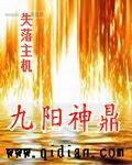 九阳神鼎全本下载