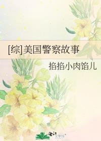 综美国警察故事网盘