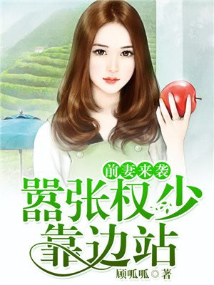 前妻来袭 小说