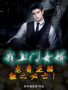 我上门女婿：龙有逆鳞，触之必亡！
