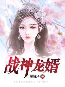 战神龙婿林尘免费阅读全文