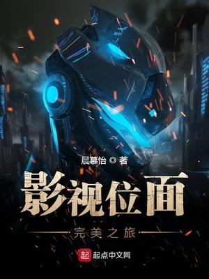 影视面位完美人生txt