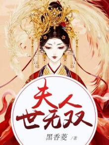 夫人世无双小说