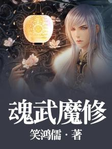 魂武双修主角势力介绍