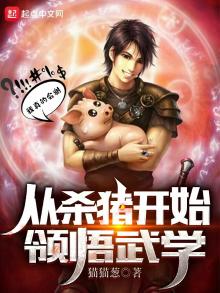 从杀猪开始领悟武学小说