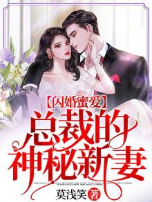 闪婚蜜爱总裁的神秘新妻莫浅笑