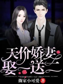 天价娇妻,娶一送二