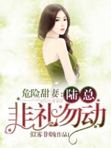 危险甜婚 小说