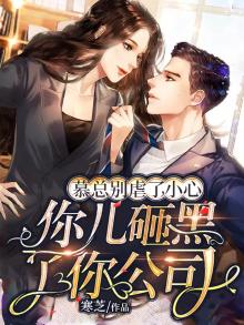 慕总别虐了，小心你儿砸黑了你公司