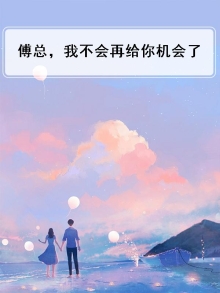 傅总，我不会再给你机会了