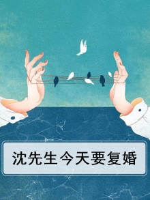 沈先生今天复婚了吗免费阅读