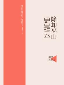 除却巫山不是云上句