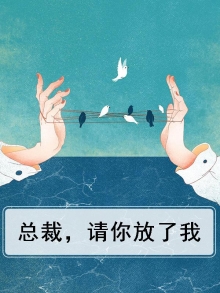 总裁请放了我小说阅读