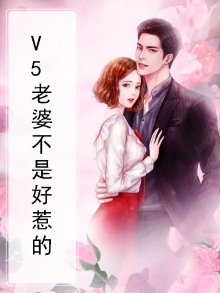 妻子不好惹全文