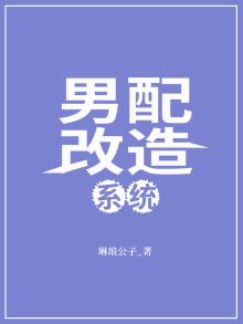 男配改造系统