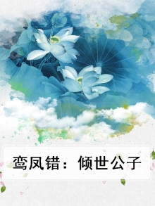 鸾凤错：倾世公子