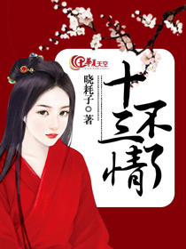 十三不了情小说