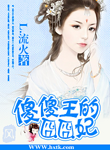 傻傻王的囧囧妃