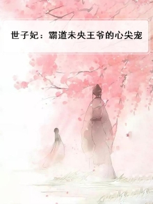 世子妃宠文