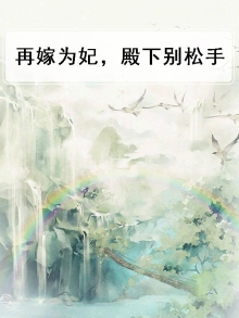 再嫁为妾 小说