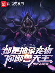 都是抽象宠物你御兽天王