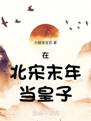 重生在宋末为皇子的小说