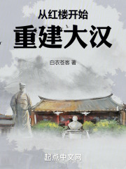 从红楼开始重建大汉