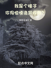 小说我是个瞎子