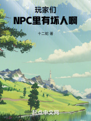 玩家当npc的小说